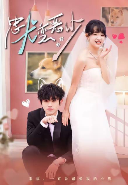 惊！我家来福变恶少了