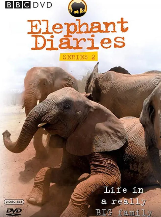 大象日记第二季