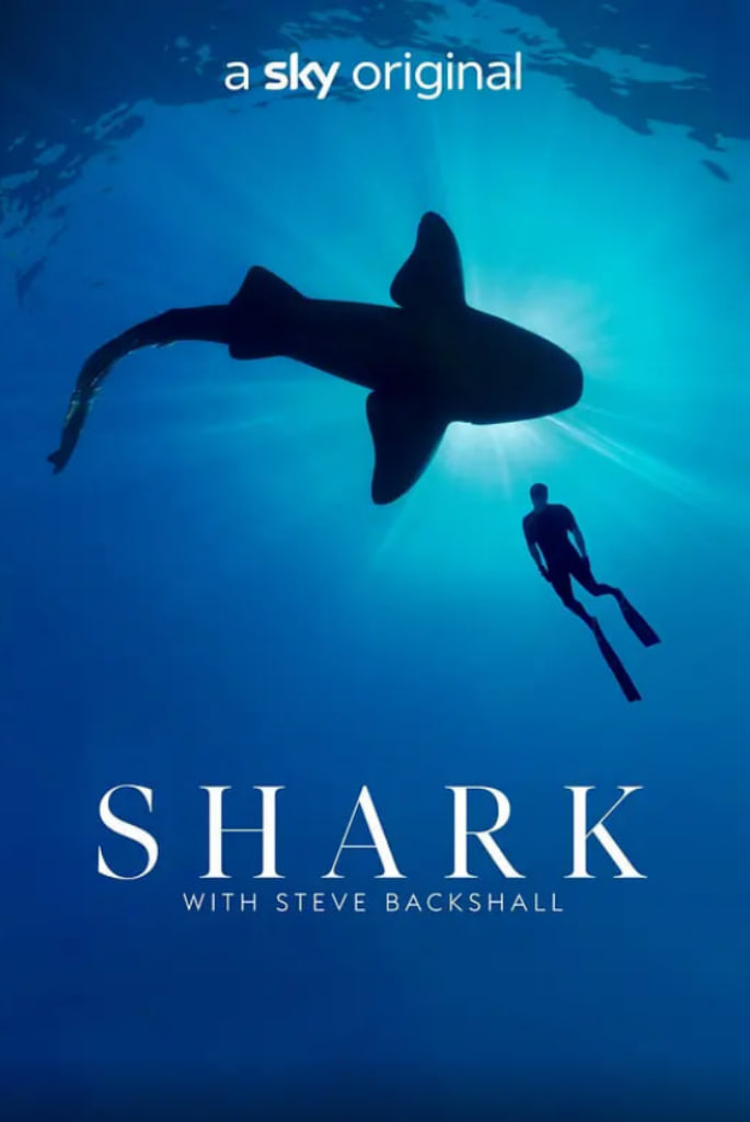 与鲨共舞第一季