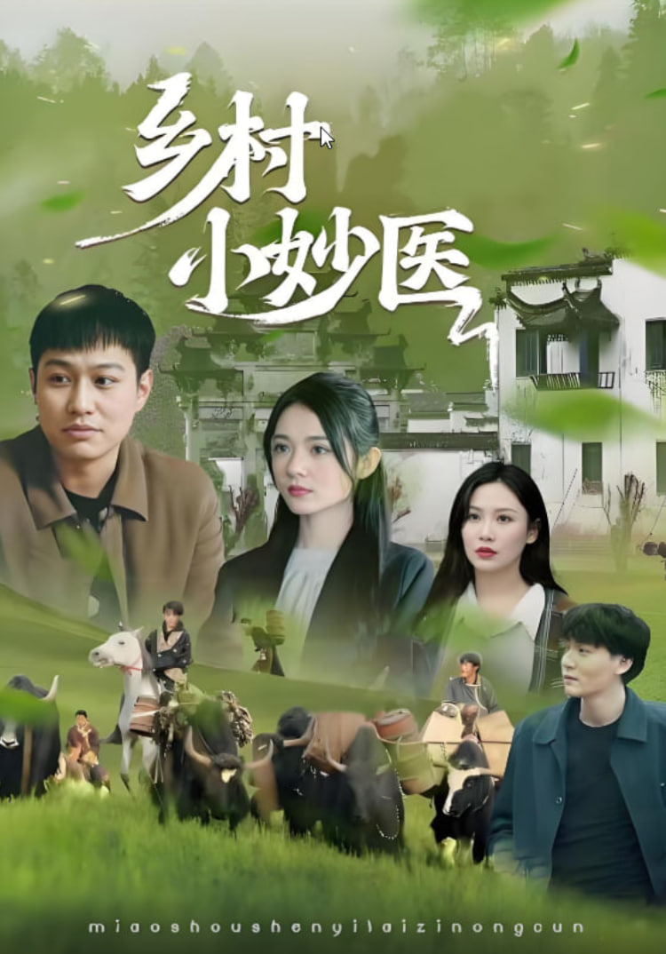 乡村小妙医
