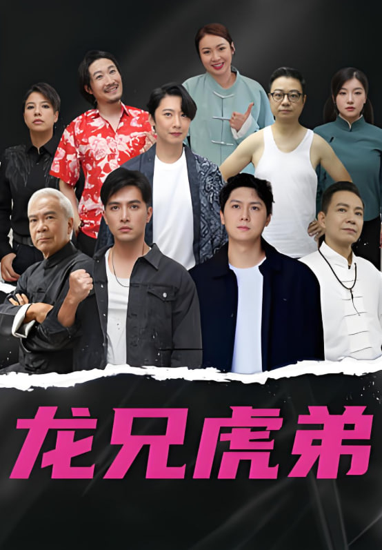 龙虎兄弟国语版