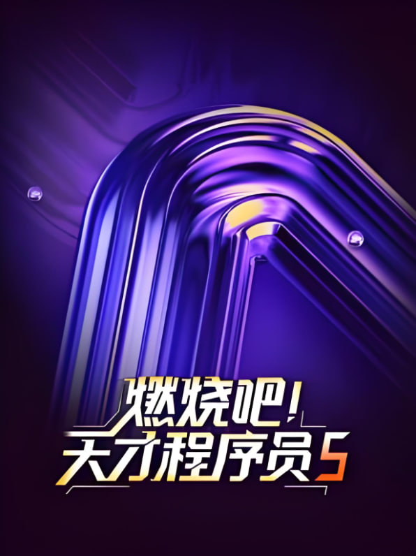 燃烧吧！天才程序员第五季