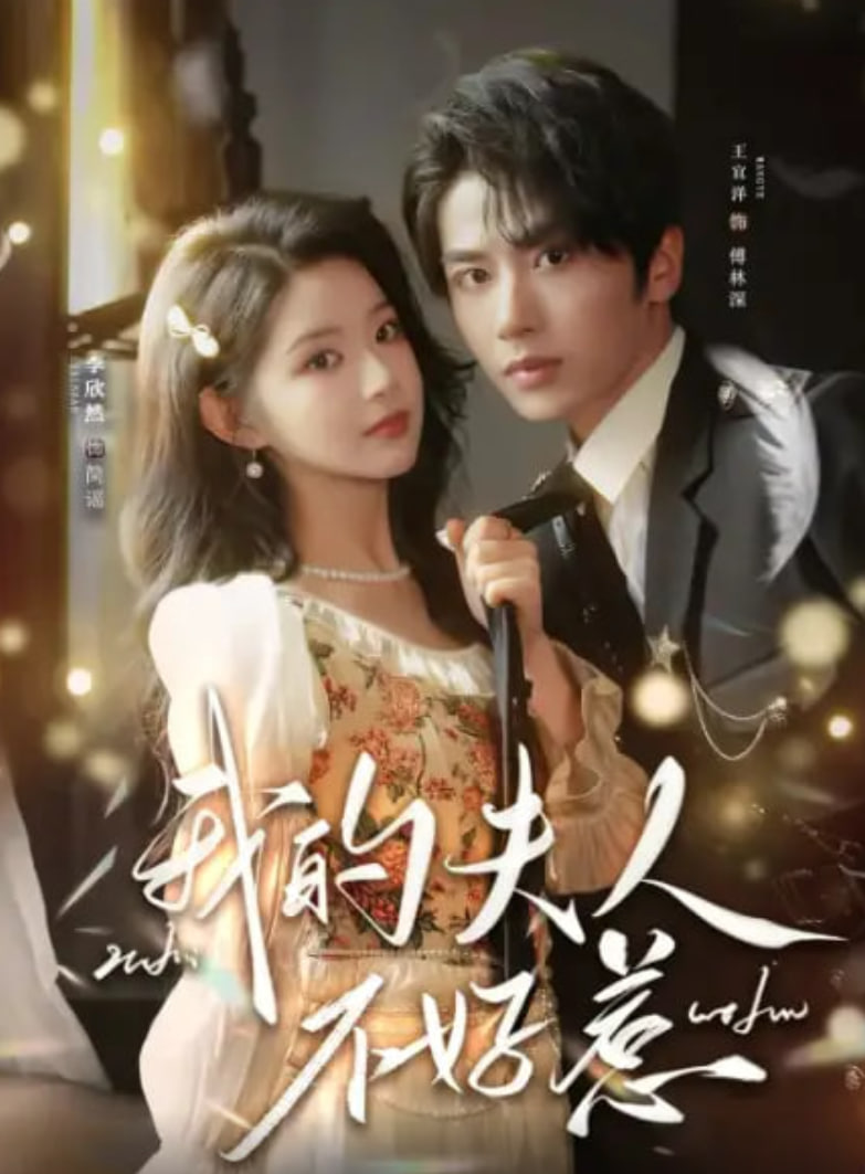 你好我的旅长夫人(我的夫人不好惹)