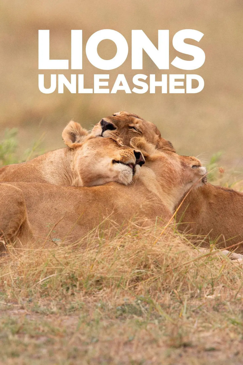 LionsUnleashed